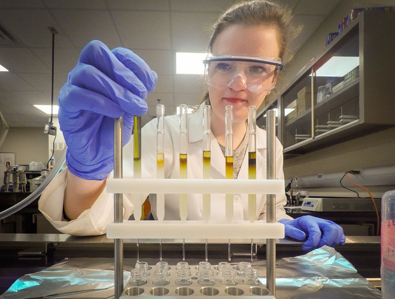 07FlashColumnChromatography_Copyright_DLevere_UB