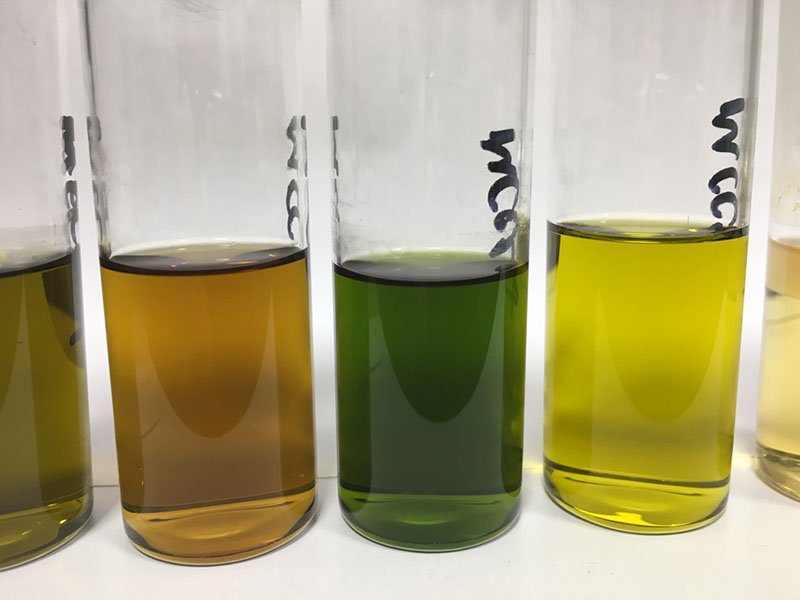 04TotalLipidExtracts