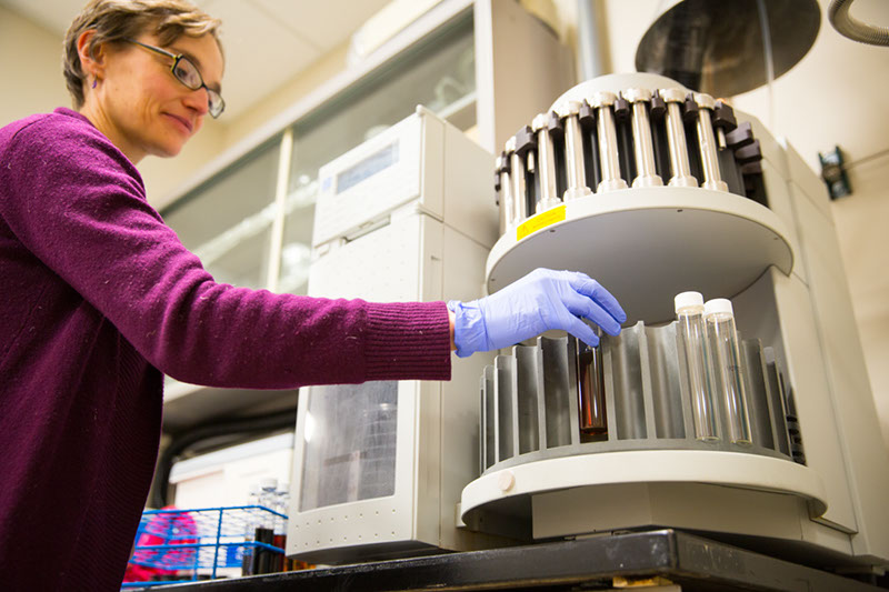 03ASE_Copyright_MKulwicki_UB