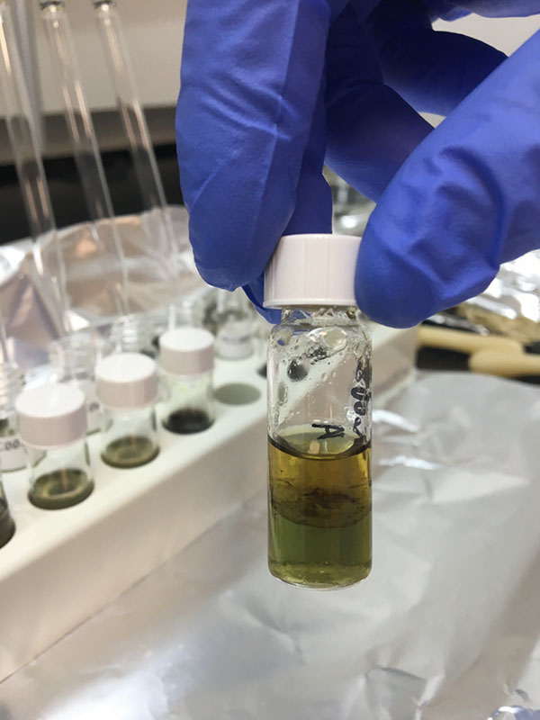 08FattyAcidMethylEster_Extraction