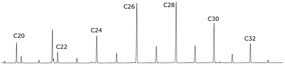 South China Sea Leaf Waxes